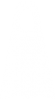 flipper